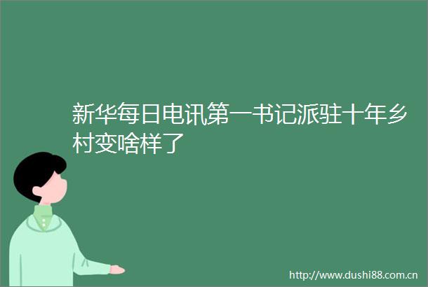 新华每日电讯第一书记派驻十年乡村变啥样了