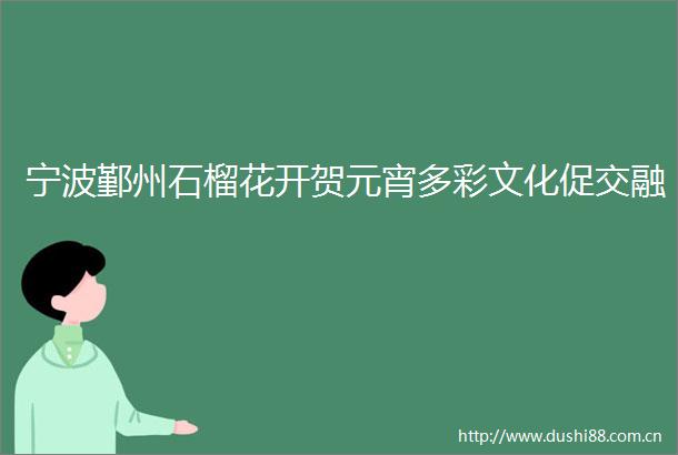 宁波鄞州石榴花开贺元宵多彩文化促交融