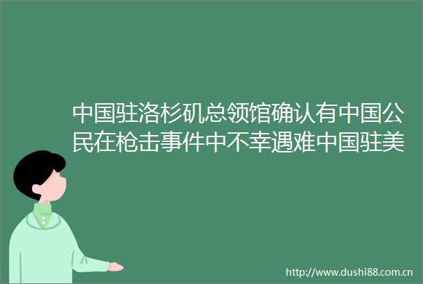 驻洛杉矶总领馆确认有公民在击中不幸遇难驻美使领馆已下半旗志哀