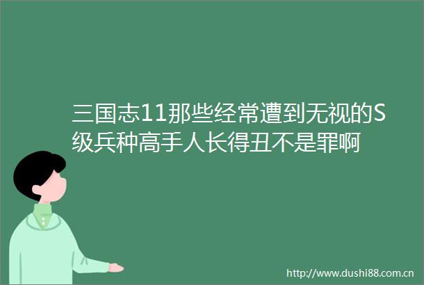 三国志11那些经常遭到无视的S级兵种高手人长得丑不是罪啊