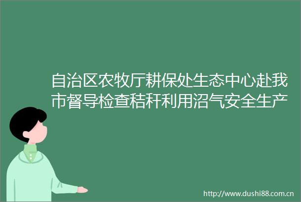 自治区农牧厅耕保处生态中心赴我市督导检查秸秆利用沼气安全生产工作