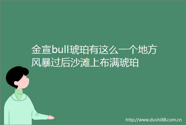 金宣bull琥珀有这么一个地方风暴过后沙滩上布满琥珀