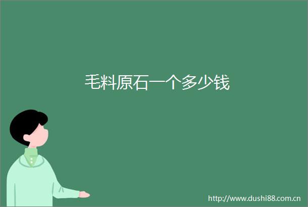毛料原石一个多少钱