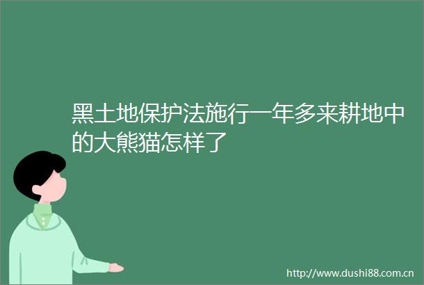 黑土地保护法施行一年多来耕地中的大熊猫怎样了