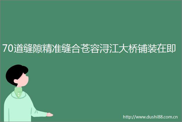70道缝隙精准缝合苍容浔江大桥铺装在即