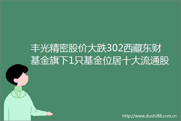 丰光精密股价大跌302西藏东财基金旗下1只基金位居十大流通股东持有4828万股浮亏损失338万元