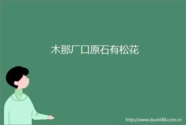 木那厂口原石有松花