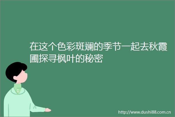 在这个色彩斑斓的季节一起去秋霞圃探寻枫叶的秘密
