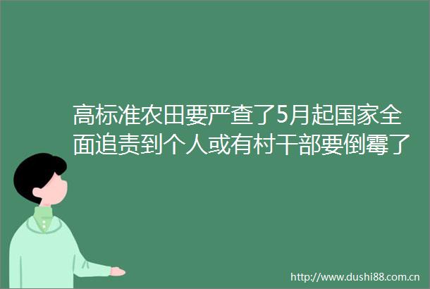 高标准农田要严查了5月起全面追责到个人或有村要倒霉了