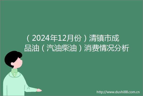 （2024年12月份）清镇市成品油（汽油柴油）消费情况分析