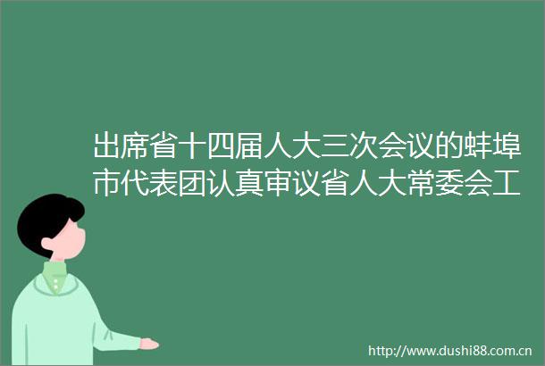 出席省十四届人大三次会议的蚌埠市代表团认真审议省人大常委会工作报告和省两院工作报告