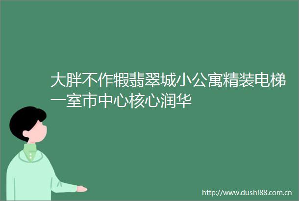 大胖不作犌翡翠城小公寓精装电梯一室市中心核心润华