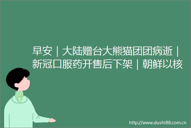 早安｜大陆赠台大熊猫团团病逝｜新冠口服药开售后下架｜朝鲜以核制核对抗美国