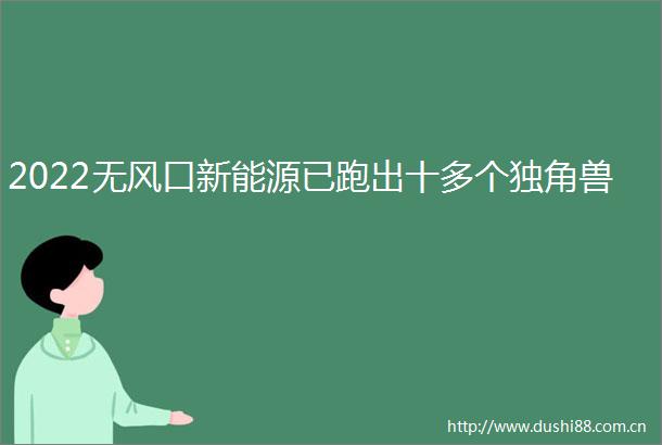 2022无风口新能源已跑出十多个独角兽