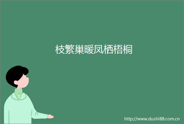 枝繁巢暖凤栖梧桐