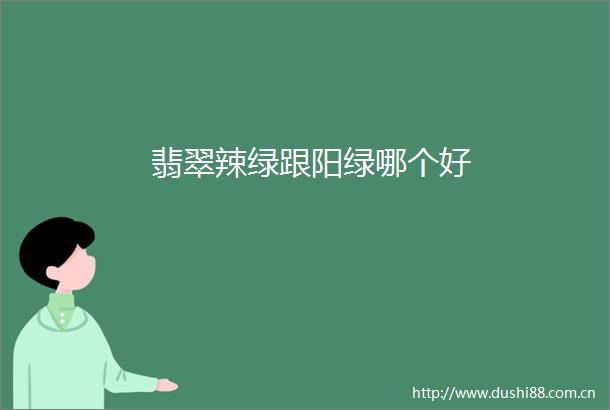 翡翠辣绿跟阳绿哪个好