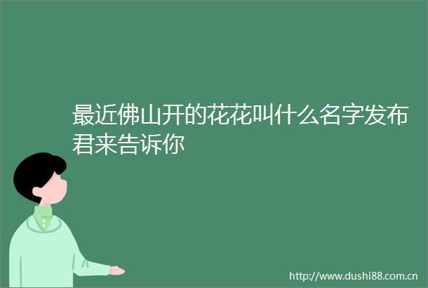 最近佛山开的花花叫什么名字发布君来告诉你