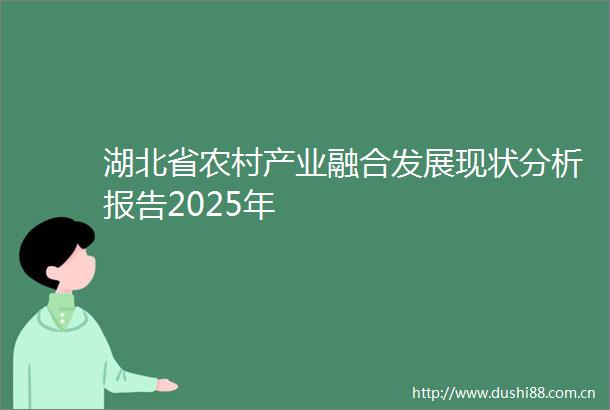 湖北省农村产业融合发展现状分析报告2025年