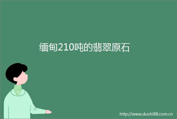 缅甸210吨的翡翠原石