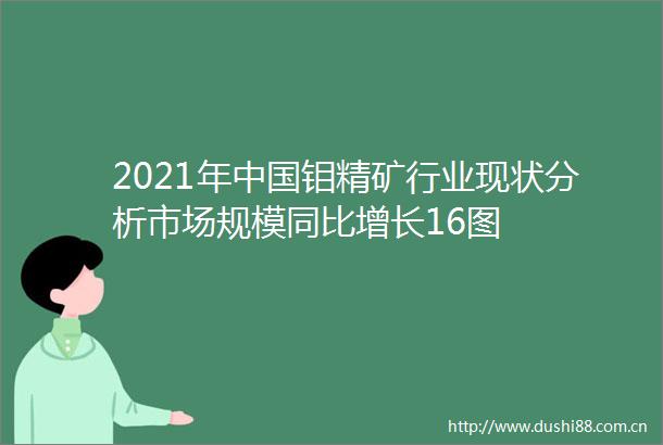 2021年钼精矿行业现状分析市场规模同比增长16图