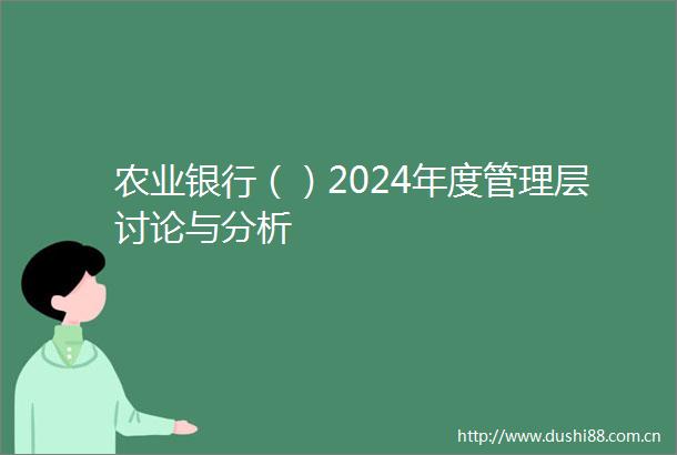 农业银行（）2024年度管理层讨论与分析