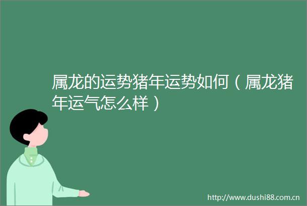 属龙的运势猪年运势如何（属龙猪年运气怎么样）