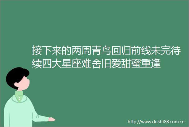 接下来的两周青鸟回归前线未完待续四大星座难舍旧爱甜蜜重逢