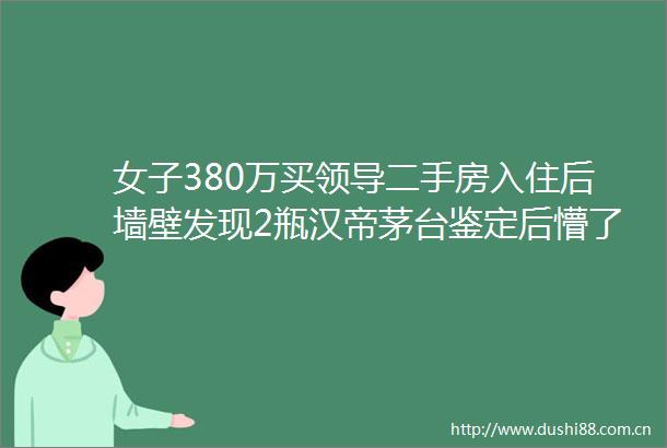 女子380万买二手房入住后墙壁发现2瓶汉帝茅台鉴定后懵了