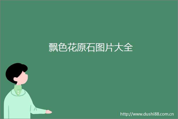 飘色花原石图片大全