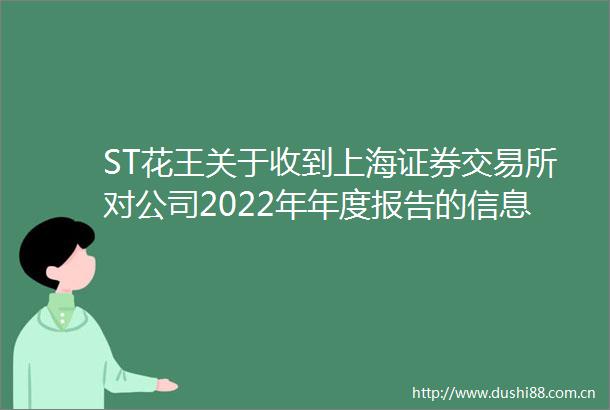ST花王关于收到上海证券交易所对公司2022年年度报告的信息披露监管问询函的公告