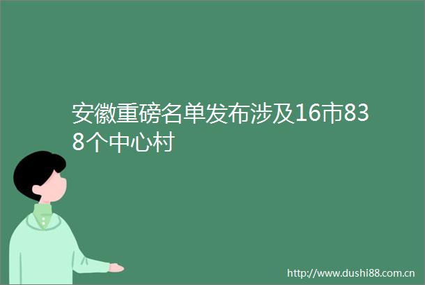 安徽重磅名单发布涉及16市838个中心村