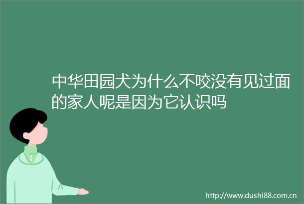 中华田园犬为什么不咬没有见过面的家人呢是因为它认识吗