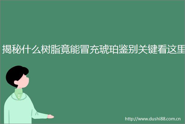 揭秘什么树脂竟能琥珀鉴别关键看这里