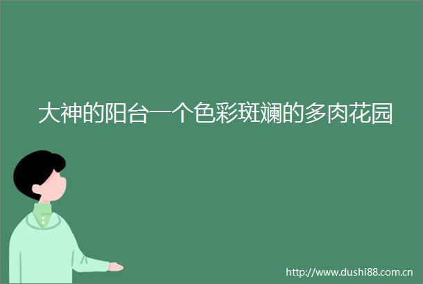 大神的阳台一个色彩斑斓的多肉花园