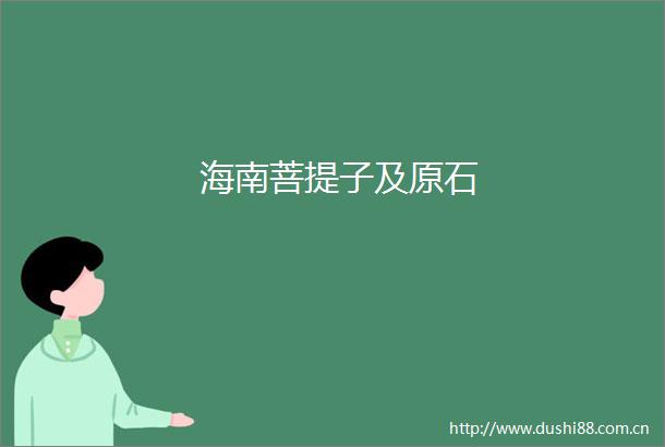 海南菩提子及原石