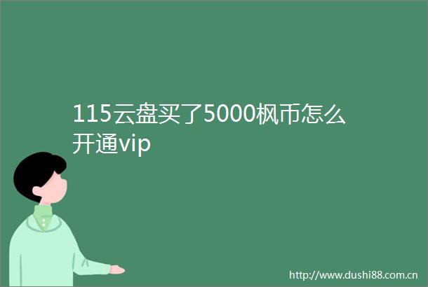 115云盘买了5000枫币怎么开通vip