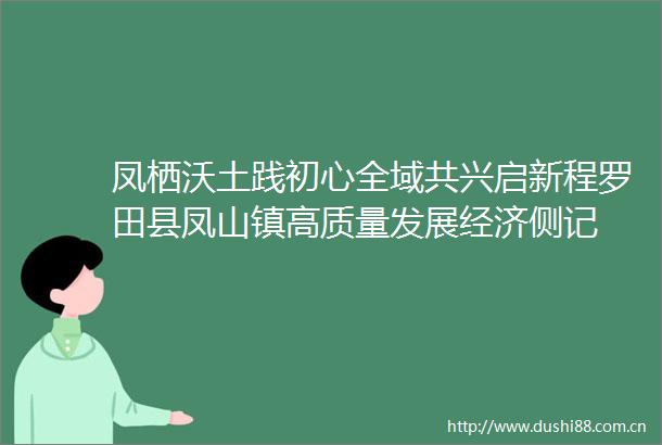 凤栖沃土践初心全域共兴启新程罗田县凤山镇高质量发展经济侧记