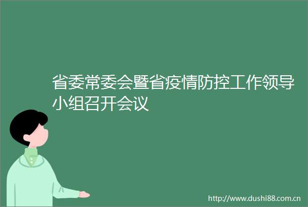 省委常委会暨省疫情防控工作小组召开会议