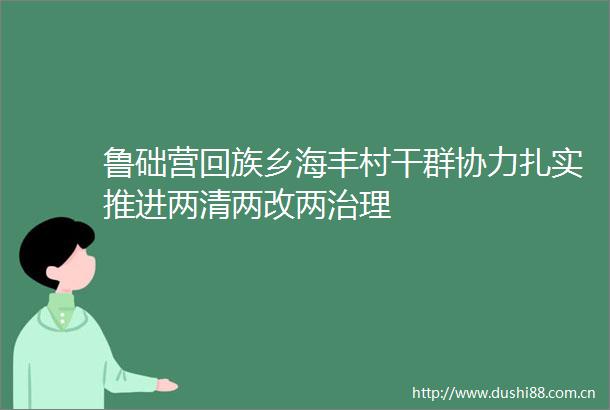 鲁础营回族乡海丰村干群协力扎实推进两清两改两治理