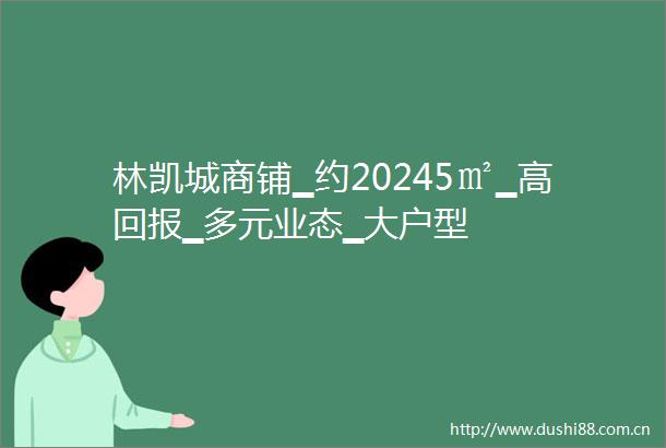 林凯城商铺▁约20245㎡▁高回报▁多元业态▁大户型