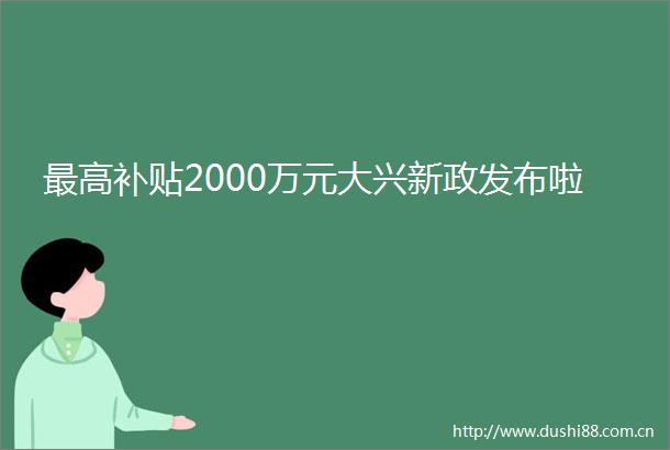 最高补贴2000万元大兴新政发布啦