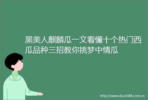 黑美人麒麟瓜一文看懂十个热门西瓜品种三招教你挑梦中情瓜