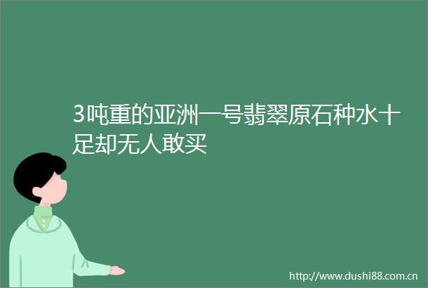 3吨重的亚洲一号翡翠原石种水十足却无人敢买