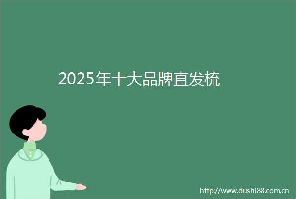 2025年十大品牌直发梳