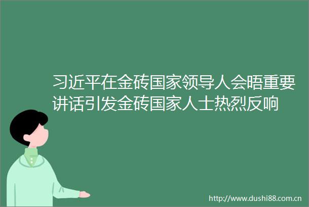 在金砖人会晤重要讲话引发金砖人士热烈反响