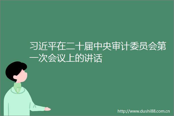 在二十届中央审计委员会第一次会议上的讲话