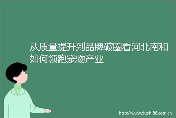 从质量提升到品牌破圈看河北南和如何领跑宠物产业