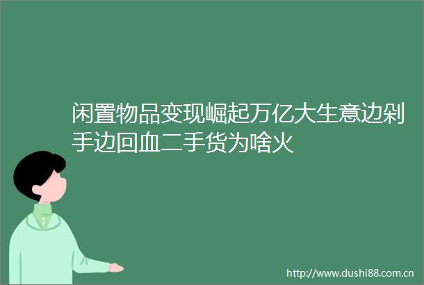 闲置物品变现崛起万亿大生意边剁手边回血二手货为啥火