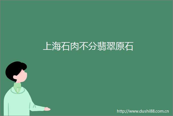 上海石肉不分翡翠原石