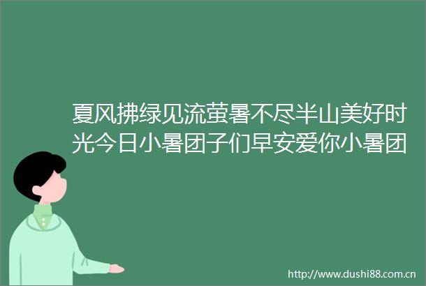 夏风拂绿见流萤暑不尽半山美好时光今日小暑团子们早安爱你小暑团团说早安